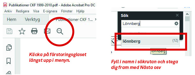 Publikationer sökning